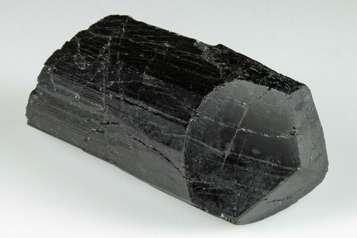 Terminated Black Tourmaline (Schorl) Crystal - Madagascar #200437